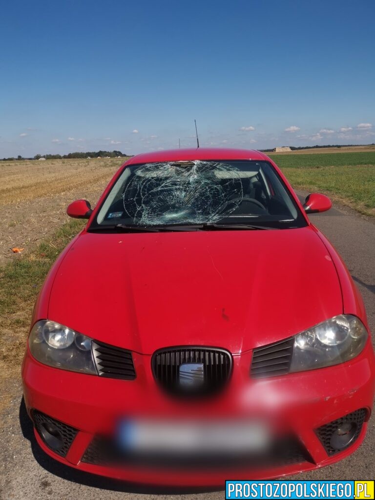 Rowerzysta korzystał z telefonu i trafił do szpitala – policja apeluje o rozwagę
