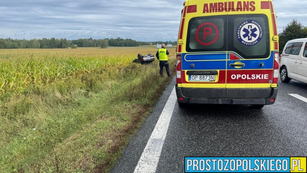 Wypadek na DK46 w Dąbrowie – dachowanie samochodu. Dziecko zabrane do szpitala