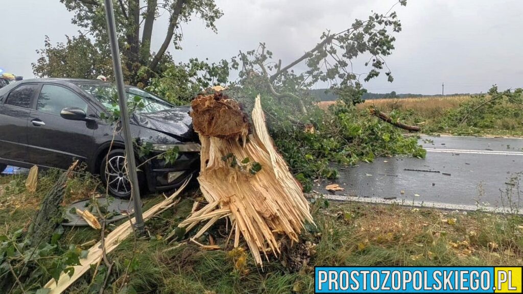 Wypadek w Ziemiełowicach na DW 454 – drzewo spadło na samochód