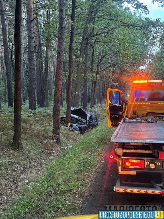 wypadek w Dąbrowie, wypadek dk46, wypadek na trasie Opole Nysa, auto wypadło z drogi, auto uderzyło w drzewo, utrudnienia w ruchu dąbrowa, 