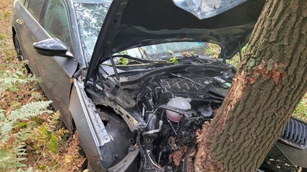 Wypadek na DK46 w miejscowości Dąbrowa – auto wypadło z drogi i uderzyło w drzewo