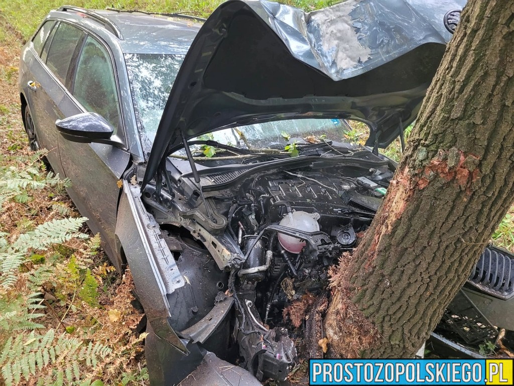 Wypadek na DK46 w miejscowości Dąbrowa – auto wypadło z drogi i uderzyło w drzewo