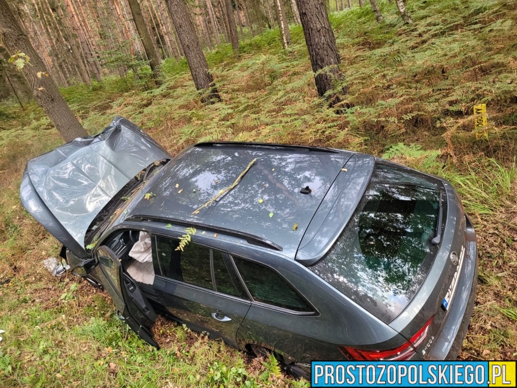 Wypadek na DK46 w miejscowości Dąbrowa – auto wypadło z drogi i uderzyło w drzewo