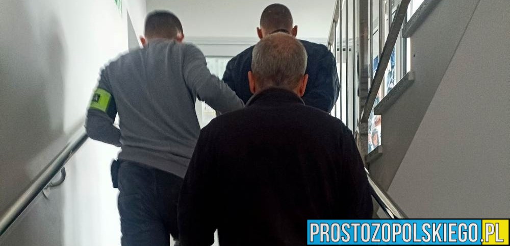 Brzeg: 21-latek zatrzymany za serię kradzieży. Grozi mu 5 lat więzienia