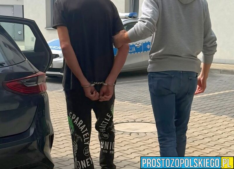 Krapkowice: 38-latek z ponad 2,5 promila za kierownicą. Od 11 lat bez prawa jazdy, trafił do więzienia