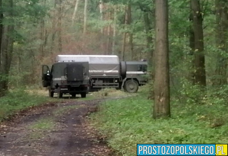 Kędzierzyn-Koźle: gigantyczne znalezisko w lesie na osiedlu Azoty – 200 niewybuchów z czasów II wojny światowej