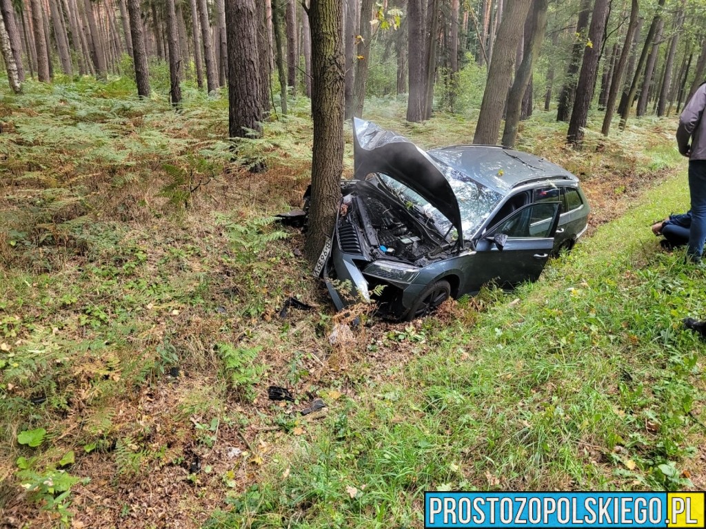 Wypadek na DK46 w miejscowości Dąbrowa – auto wypadło z drogi i uderzyło w drzewo