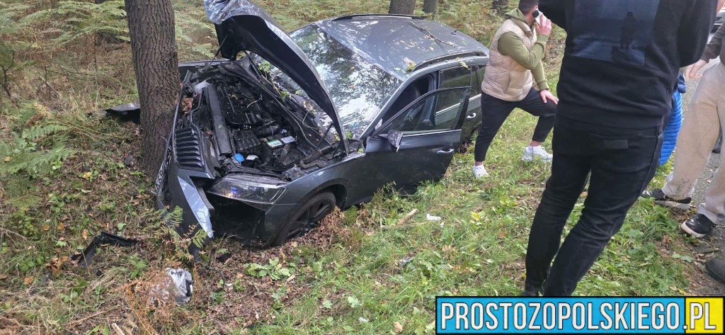 wypadek w Dąbrowie, wypadek dk46, wypadek na trasie Opole Nysa, auto wypadło z drogi, auto uderzyło w drzewo, utrudnienia w ruchu dąbrowa, 
