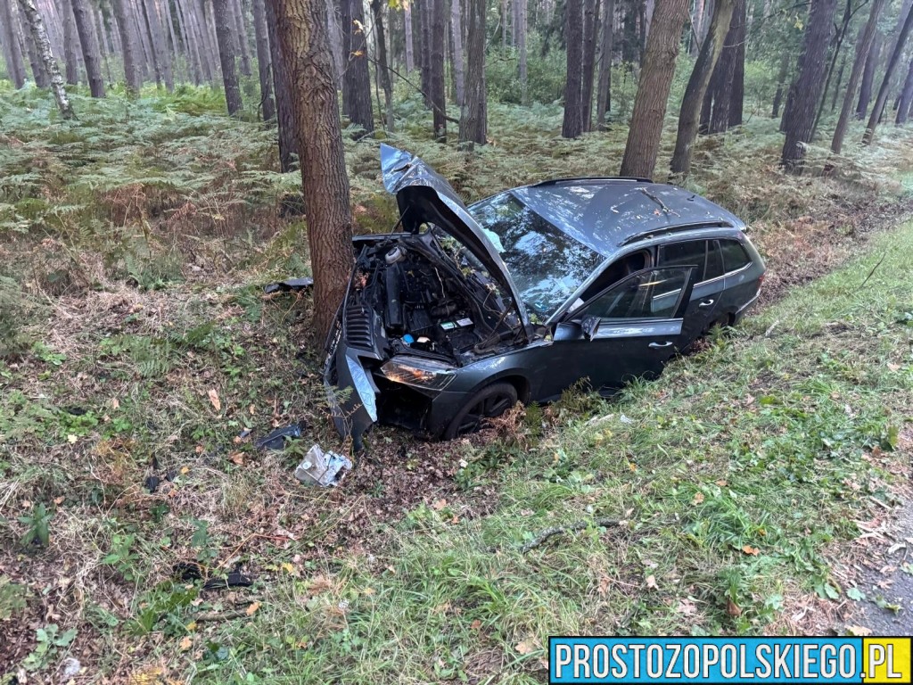 wypadek w Dąbrowie, wypadek dk46, wypadek na trasie Opole Nysa, auto wypadło z drogi, auto uderzyło w drzewo, utrudnienia w ruchu dąbrowa, 