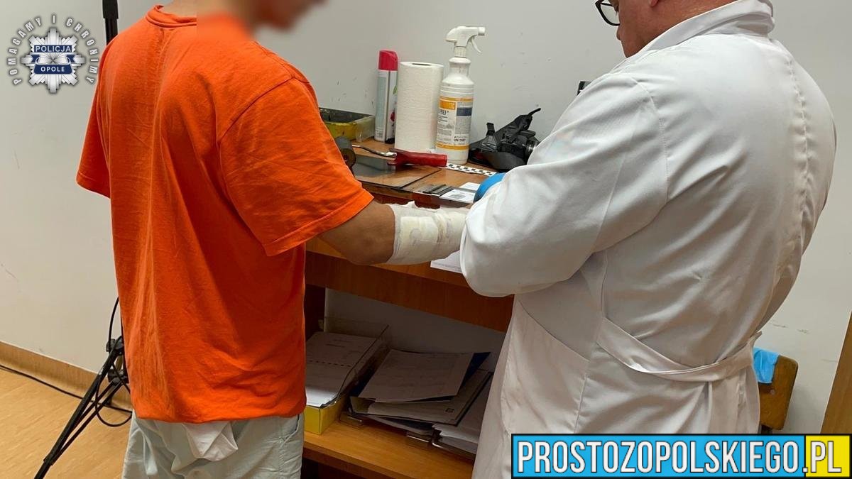 Opole: 28-latek groził byłej partnerce nożem, odkręcił gaz i zabił dwa psy. Trafił do aresztu