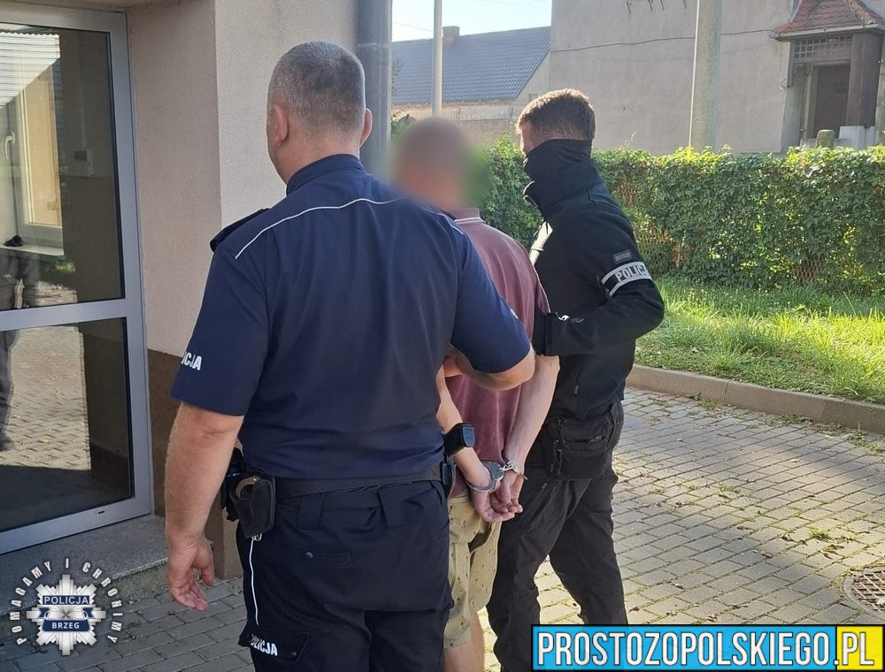 39-latek ukradł tablicę rejestracyjną, żeby zrobić ...