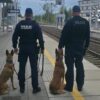 Opolscy policjanci w międzynarodowej akcji „RAW – Railpol Action Week”