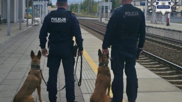 Opolscy policjanci w międzynarodowej akcji „RAW – Railpol Action Week”