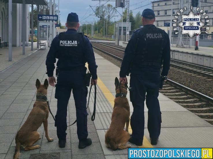 Opolscy policjanci w międzynarodowej akcji „RAW – Railpol Action Week”