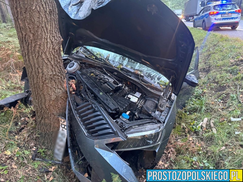 wypadek w Dąbrowie, wypadek dk46, wypadek na trasie Opole Nysa, auto wypadło z drogi, auto uderzyło w drzewo, utrudnienia w ruchu dąbrowa, 