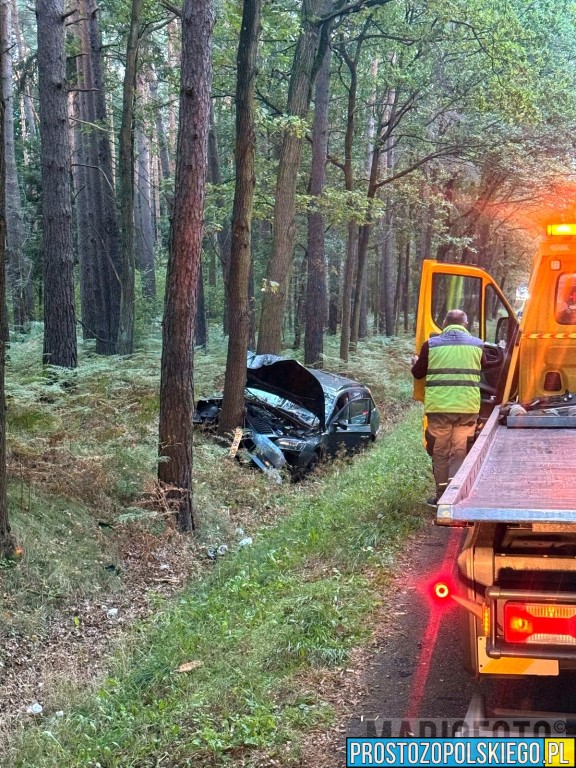 wypadek w Dąbrowie, wypadek dk46, wypadek na trasie Opole Nysa, auto wypadło z drogi, auto uderzyło w drzewo, utrudnienia w ruchu dąbrowa, 