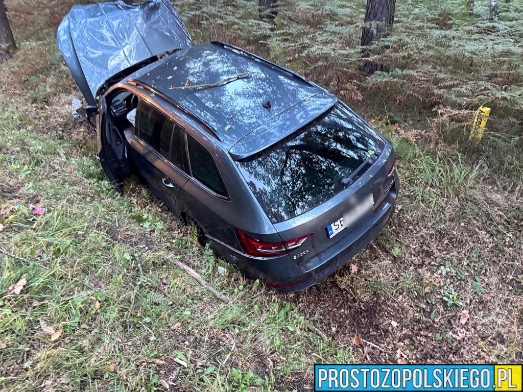 wypadek w Dąbrowie, wypadek dk46, wypadek na trasie Opole Nysa, auto wypadło z drogi, auto uderzyło w drzewo, utrudnienia w ruchu dąbrowa, 