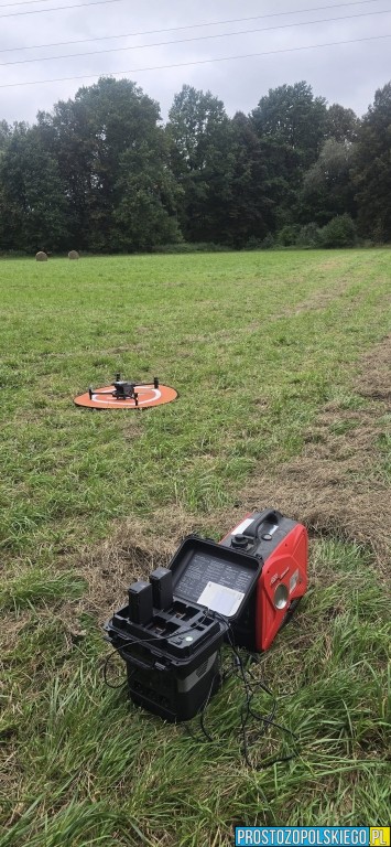 Silny wybuch w lesie między Niwnicą a Hajdukami Nyskimi
