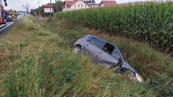 Łąka Prudnicka: Zdarzenie drogowe na DK40 – trzy osoby trafiły do szpitala