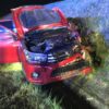 Zderzenie samochodu osobowego z łosiem na autostradzie A4 pod Strzelcami Opolskimi