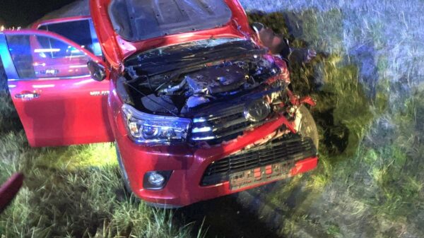 Zderzenie samochodu osobowego z łosiem na autostradzie A4 pod Strzelcami Opolskimi