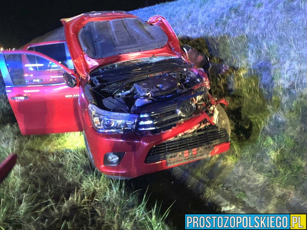 Zderzenie samochodu osobowego z łosiem na autostradzie A4 pod Strzelcami Opolskimi