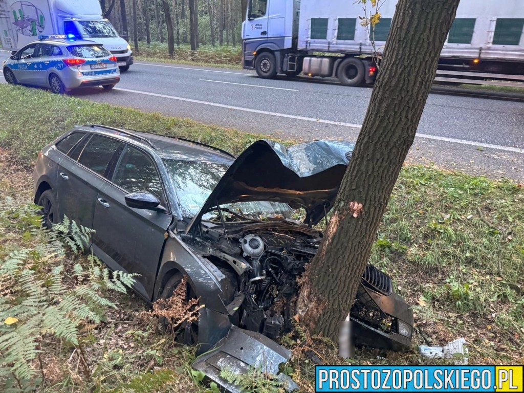 wypadek w Dąbrowie, wypadek dk46, wypadek na trasie Opole Nysa, auto wypadło z drogi, auto uderzyło w drzewo, utrudnienia w ruchu dąbrowa, 