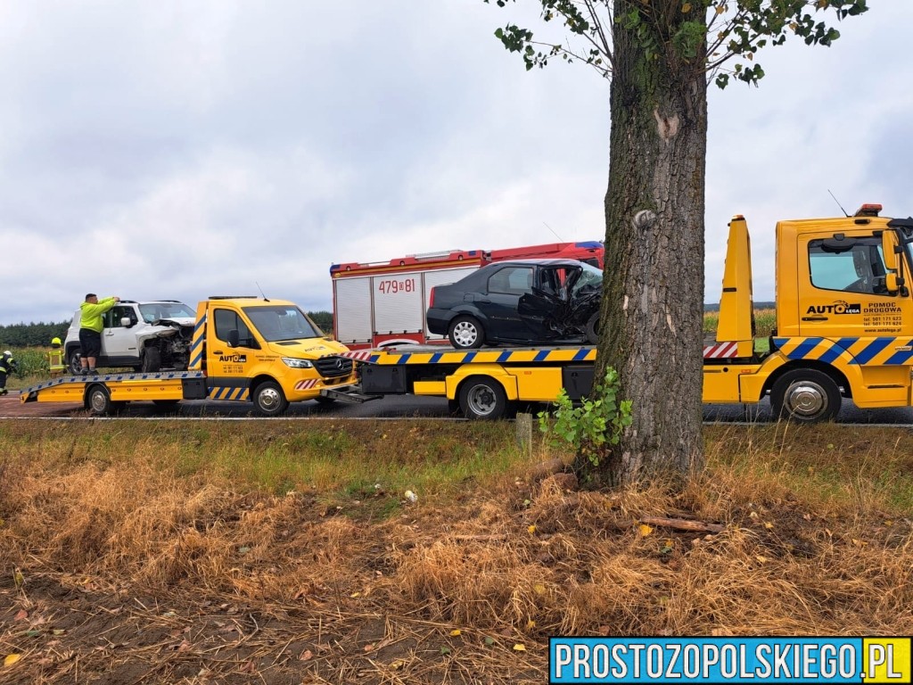 Wypadek na DK42/DK43 w powiecie oleskim. Kierowca jeepa miał ponad 2 promile