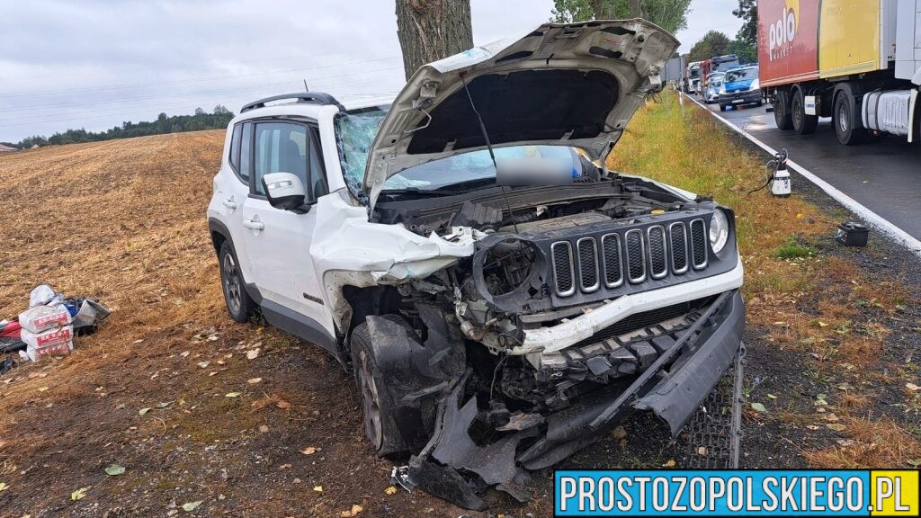 Wypadek na DK42/DK43 w powiecie oleskim. Kierowca jeepa miał ponad 2 promile