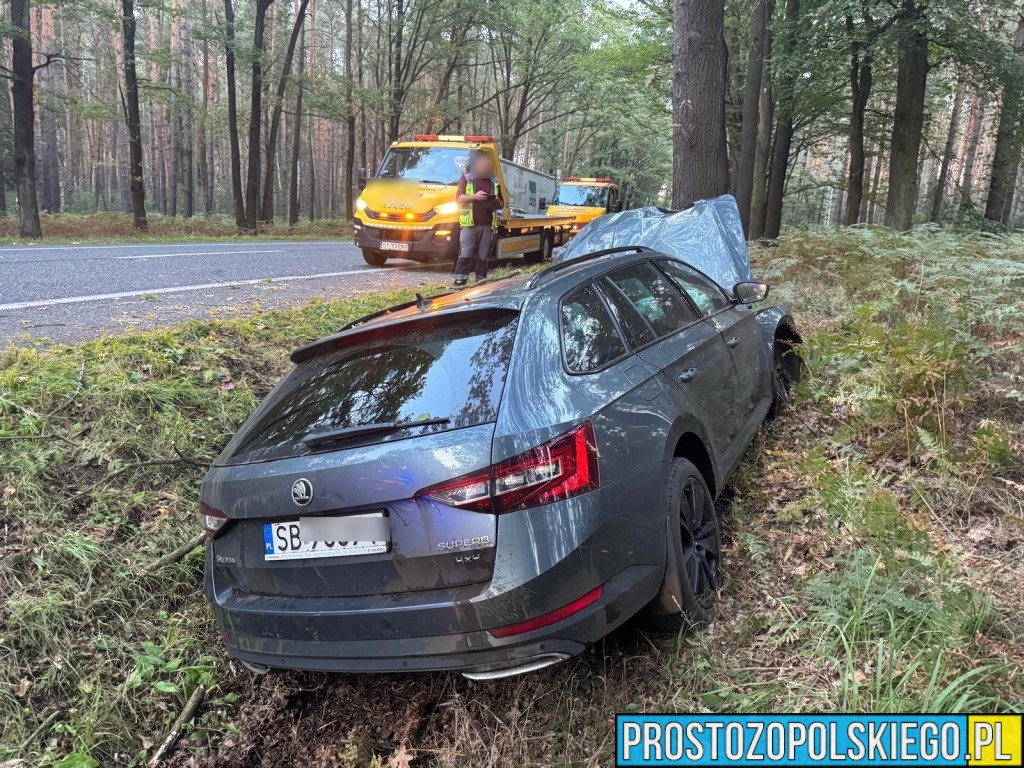 wypadek w Dąbrowie, wypadek dk46, wypadek na trasie Opole Nysa, auto wypadło z drogi, auto uderzyło w drzewo, utrudnienia w ruchu dąbrowa, 