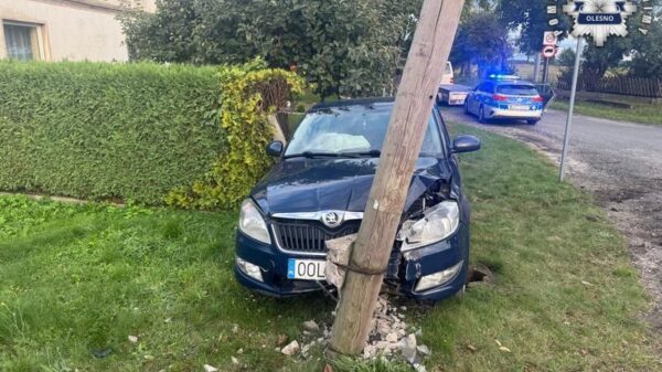 Ponad 2 promile alkoholu u kierowcy. 61-latek z powiatu oleskiego stracił prawo jazdy i stanie przed sądem