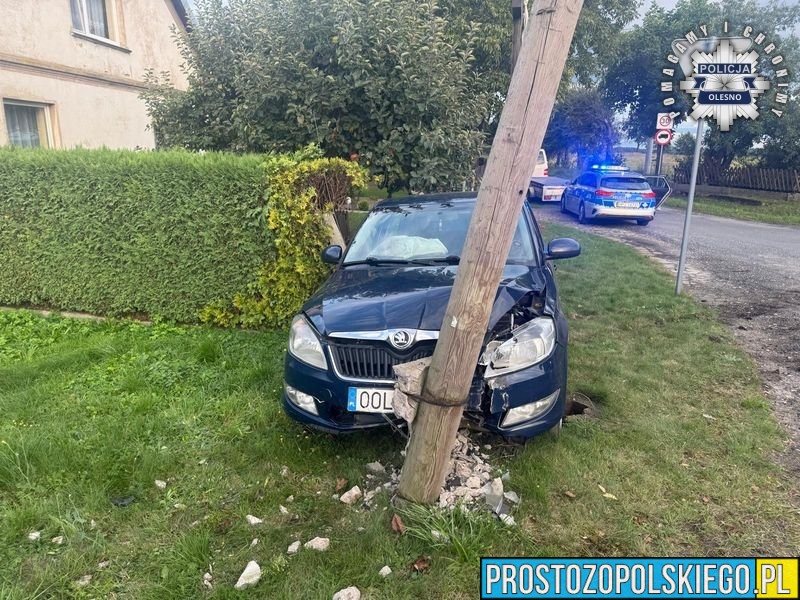 Ponad 2 promile alkoholu u kierowcy. 61-latek z powiatu oleskiego stracił prawo jazdy i stanie przed sądem