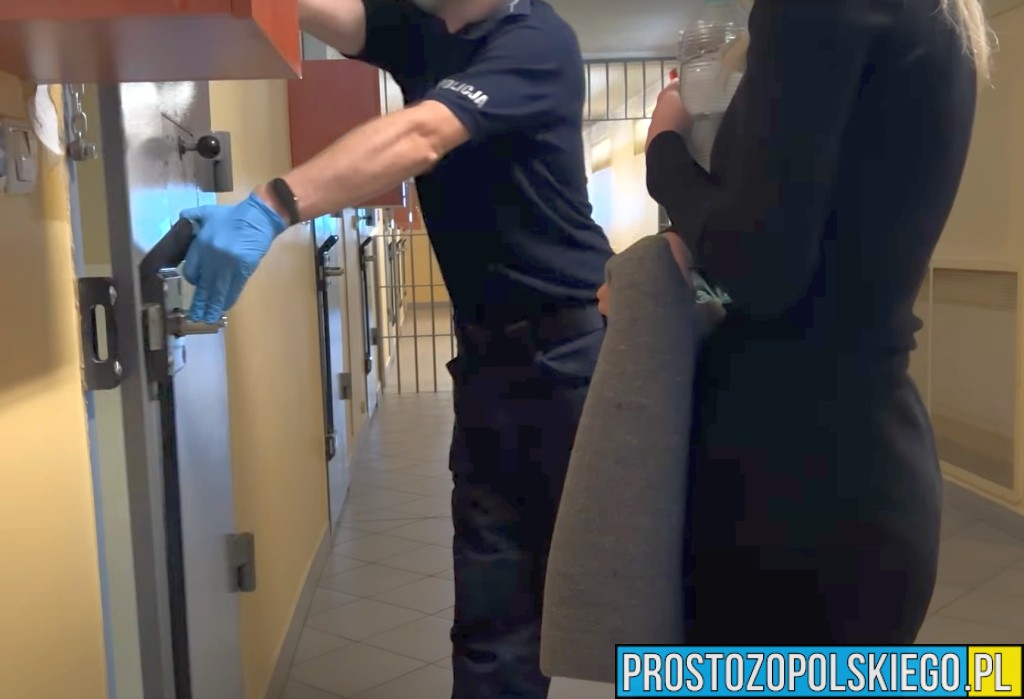 nielegalne sładowisko śmieci, nielegalne śmieci, dzikie składowisko śmieci policja opole, kw policja opole, komenda wojewódzka policji opole, nielegalne składowisko śmieci, 