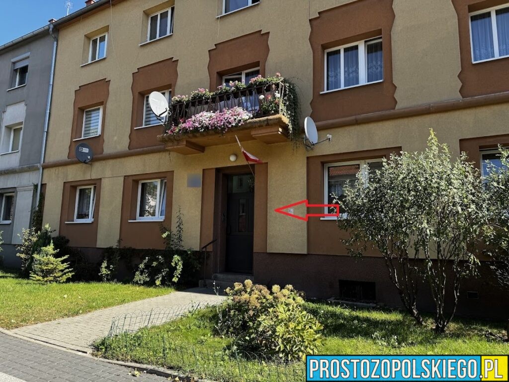 Usiłowanie zabójstwa na ul. Katowickiej w Opolu. Policjanci zatrzymali dwóch podejrzanych
