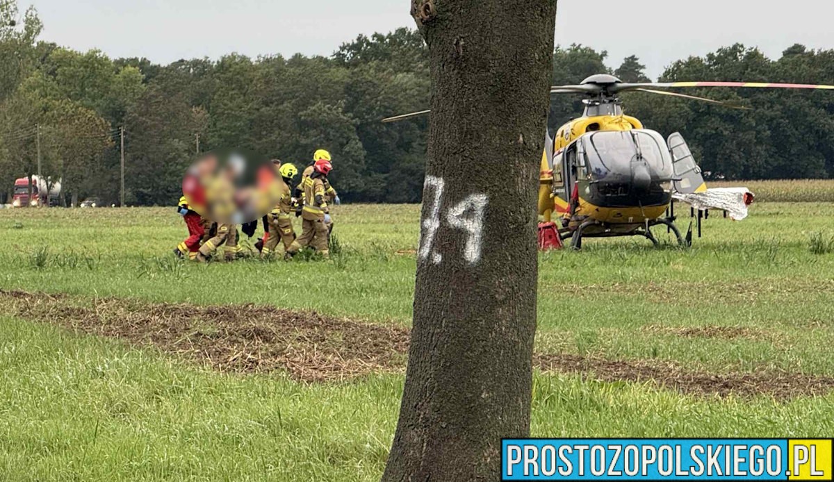 Poważny wypadek w powiecie kędzierzyńsko-kozielskim. Samochód uderzył w drzewo, interweniował śmigłowiec LPR