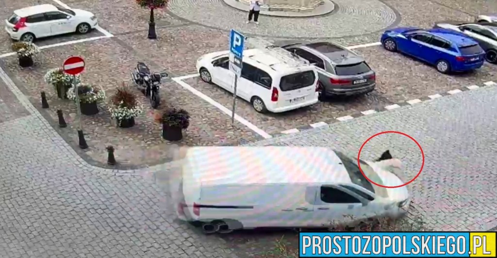 potrąceie kobiety w namysłowie,potrącenie kobiety w ciąży, potrącenie na pasach, potrącenie na pasach wideo, potrącenie ciężarnej na pasach, 