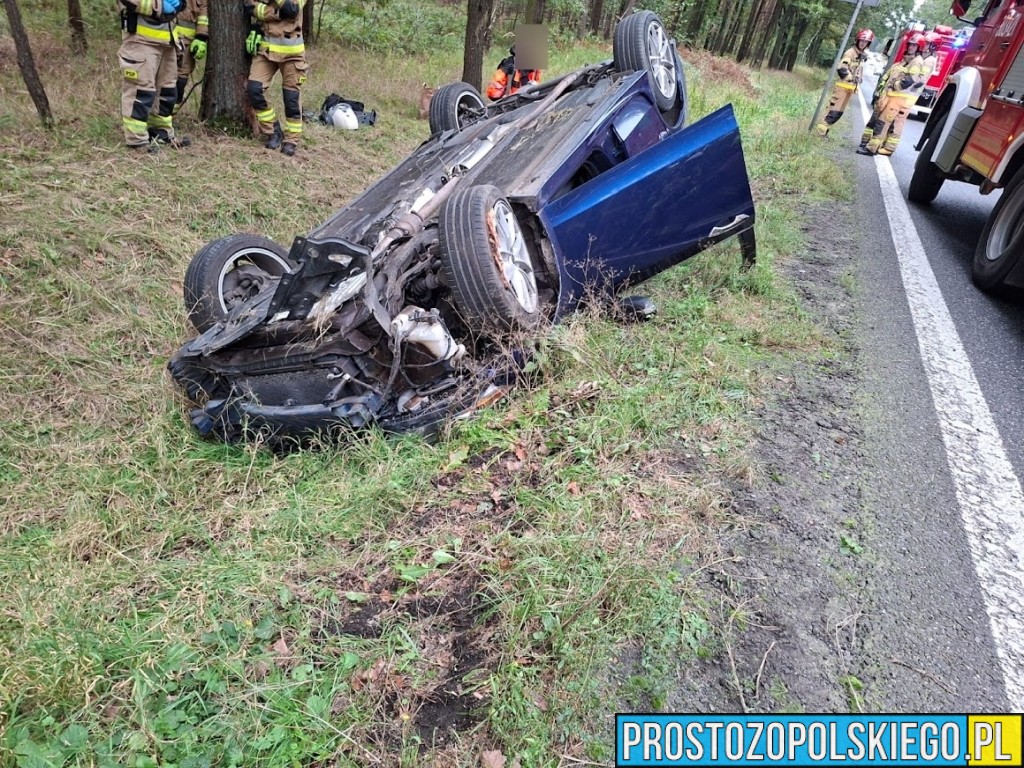 trasa opole nysa, wypadek w Dąbrowie, wypadek w lesie, samochód wypadł z drogi, traza opole nysa, 