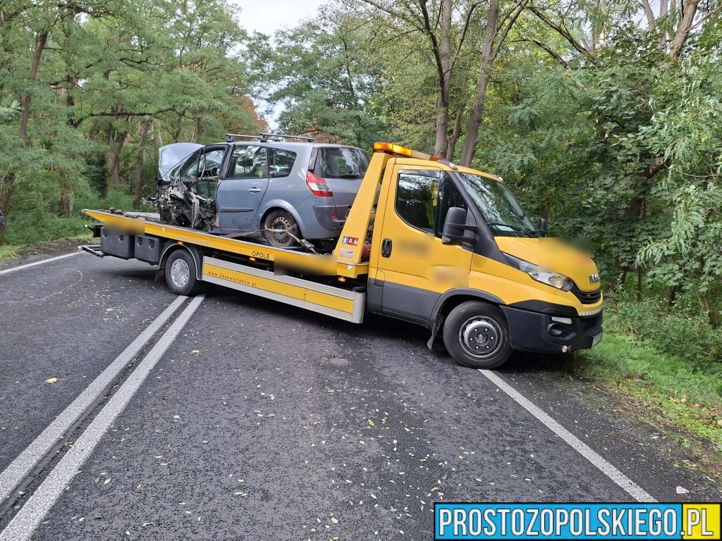 wypadek na trasie Opole Brzeg, Wypadek, wypaadek Skarbiszkowice, wypadek Borki, zderzenie 2 aut, prokurator na miejscu zdarzenia, dk 94, 