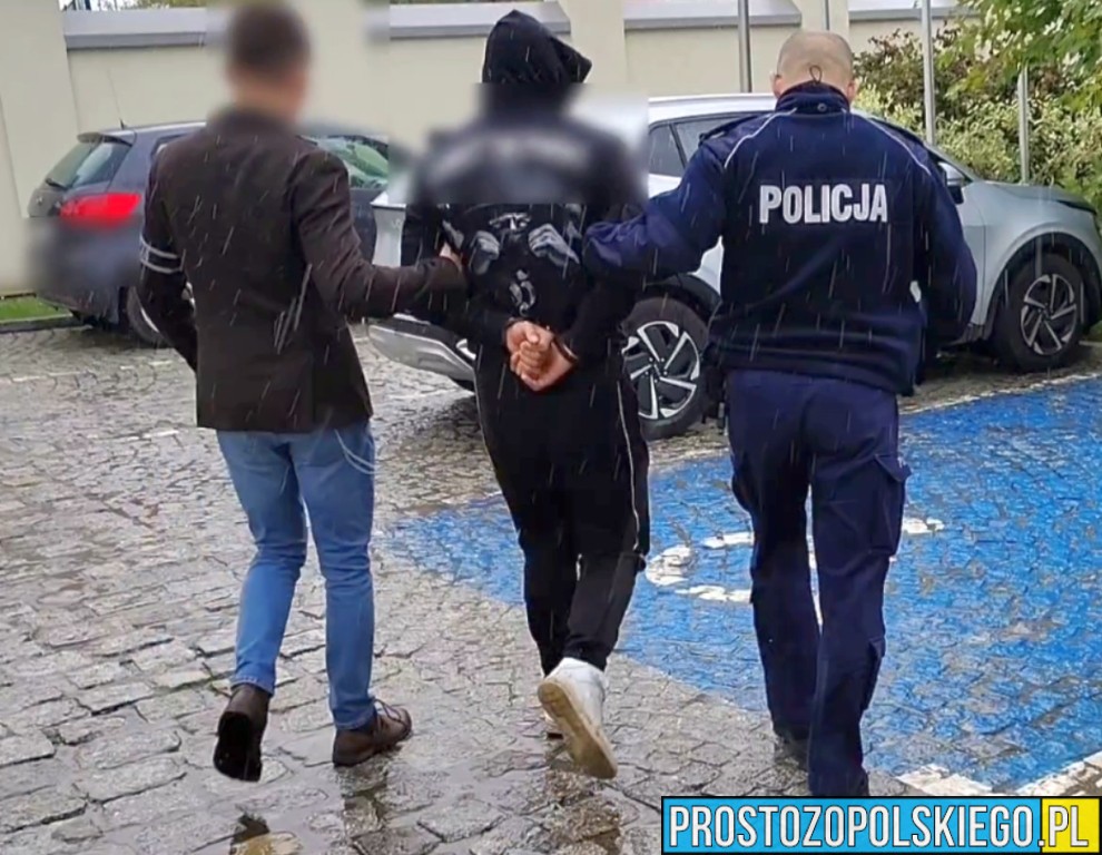 Policjanci z Brzegu zatrzymali włamywacza – łup ukrył, zakopując go w ogródku