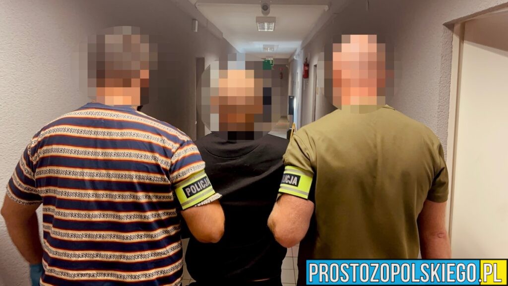 Brutalny atak w lesie pod Kędzierzynem-Koźlem. 26-latek aresztowany – grozi mu 20 lat więzienia