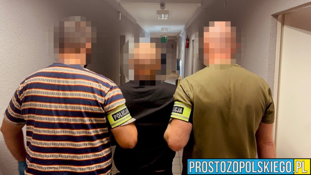 Brutalny atak w lesie pod Kędzierzynem-Koźlem. 26-latek aresztowany – grozi mu 20 lat więzienia