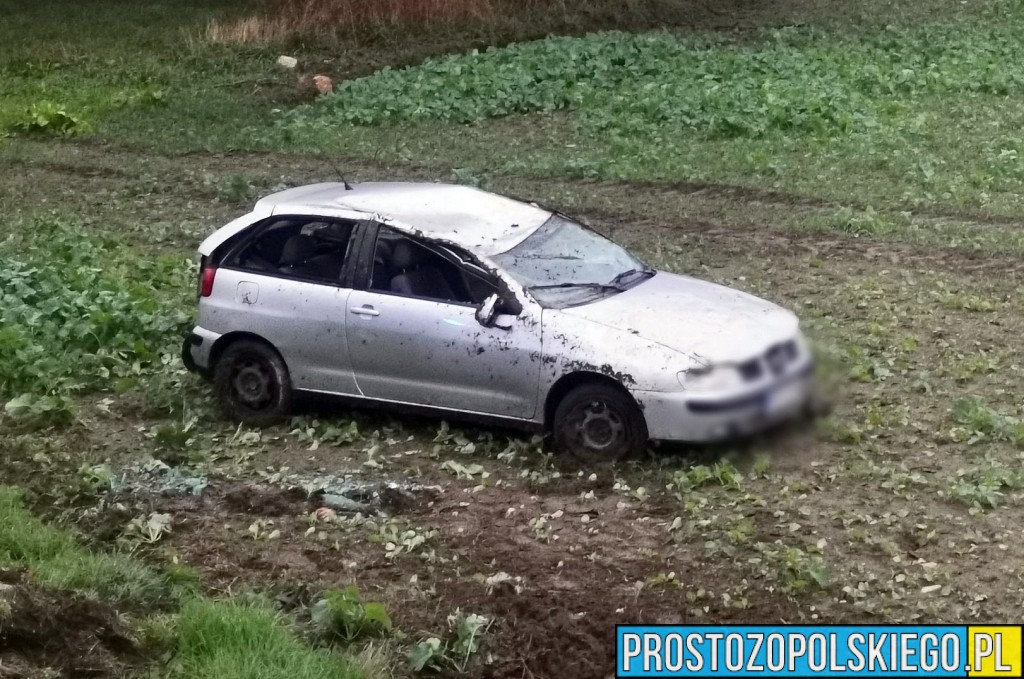 Strzelce Opolskie: 18-latek dachował seatem po wypadnięciu z drogi