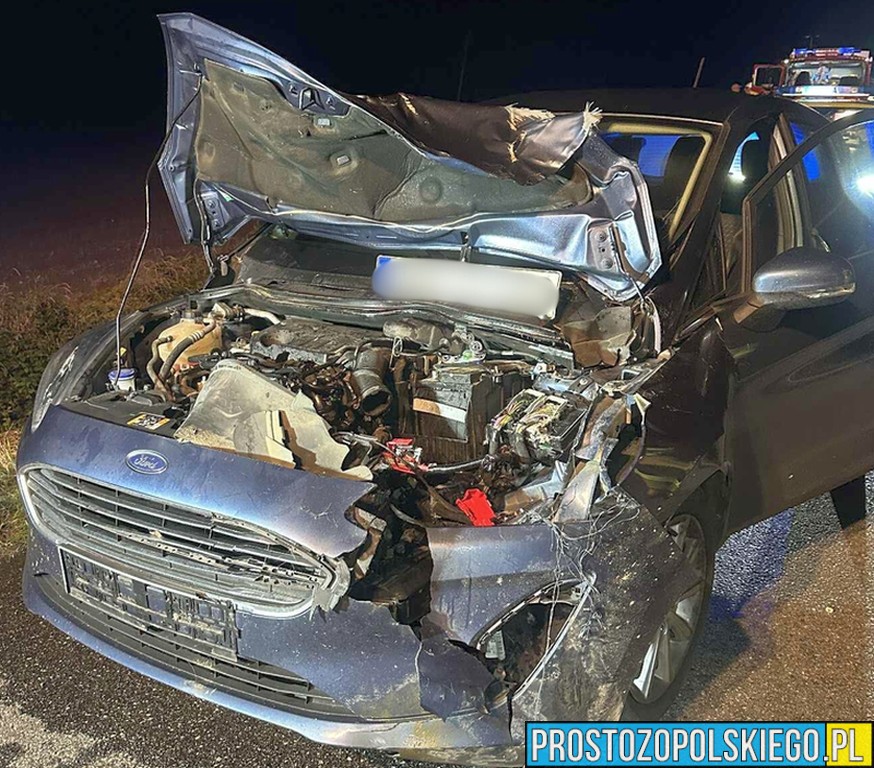 Niebezpieczne drogi w rejonie lasów – kolejne zderzenie z sarną pod Skoroszycami
