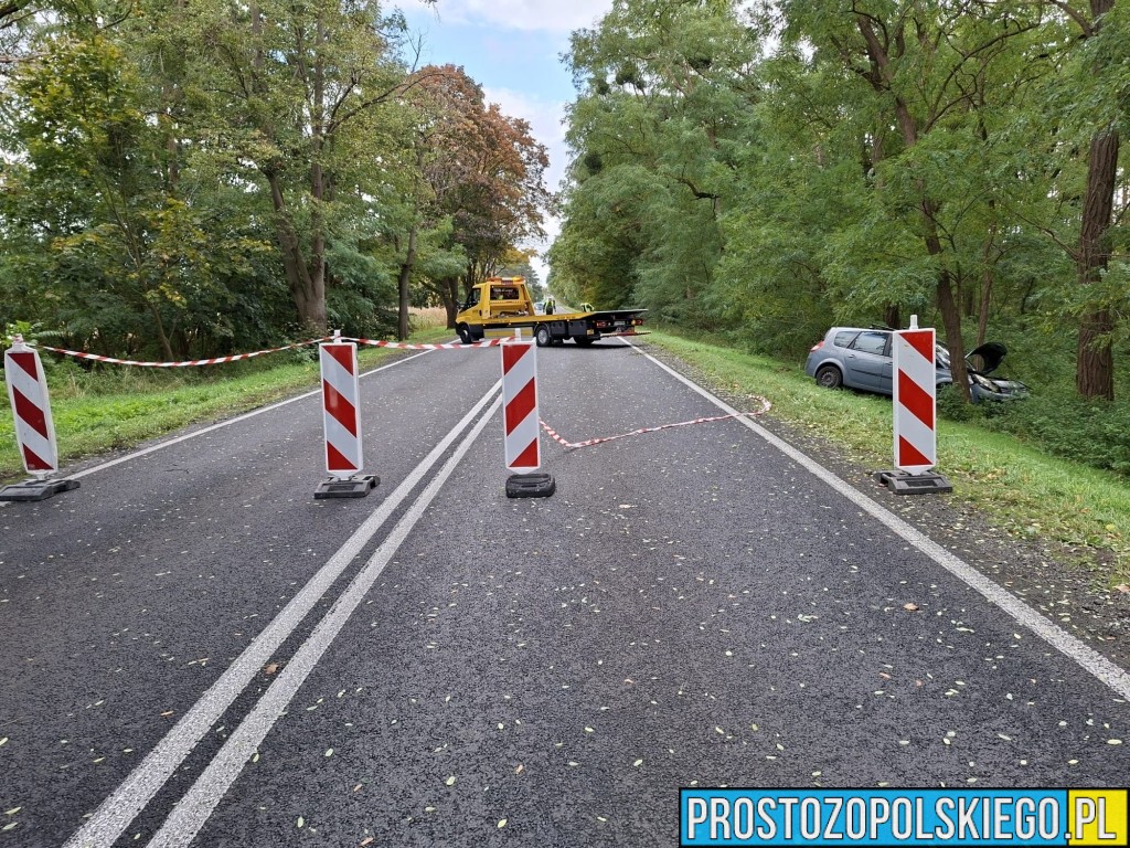 wypadek na trasie Opole Brzeg, Wypadek, wypaadek Skarbiszkowice, wypadek Borki, zderzenie 2 aut, prokurator na miejscu zdarzenia, dk 94, 