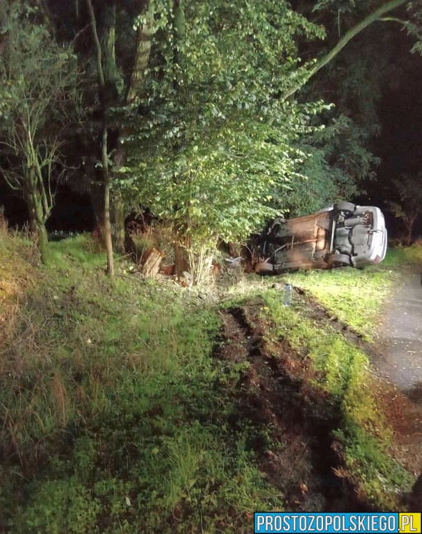  Góra Świętej Anny – Zdzieszowice, wypadek, samochód uderzył w drzewo, wypadek zdzieszowice, wypadek góra świętej anny,