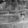 Brzeg: tragiczne odkrycie w parku nad fosą – nie żyje 49-letni mężczyzna