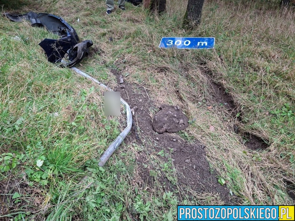 trasa opole nysa, wypadek w Dąbrowie, wypadek w lesie, samochód wypadł z drogi, traza opole nysa, prosto z opolskiego, prostozopolskiego, 