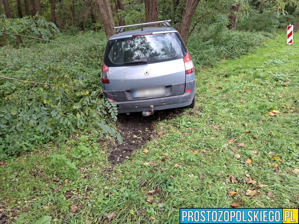wypadek na trasie Opole Brzeg, Wypadek, wypaadek Skarbiszkowice, wypadek Borki, zderzenie 2 aut, prokurator na miejscu zdarzenia, dk 94, 