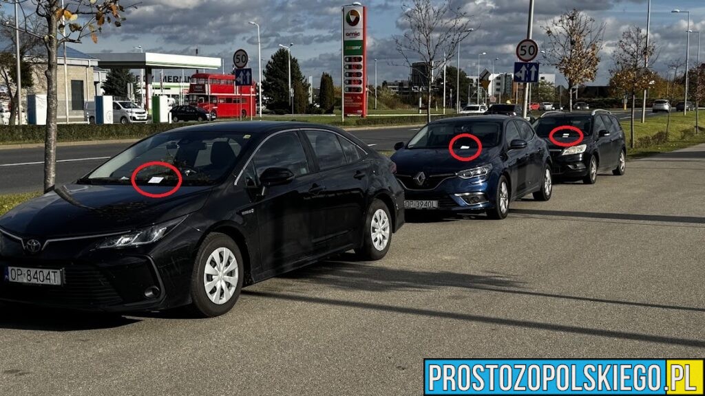 Mistrzowie parkowania przy cmentarzu w Opolu. Mandaty od Straży Miejskiej na ul. Wrocławskiej