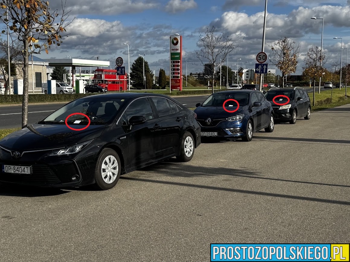 Mistrzowie parkowania przy cmentarzu w Opolu. Mandaty od Straży Miejskiej na ul. Wrocławskiej